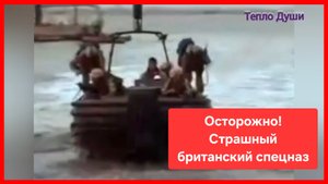 Опасные бритиши 😅