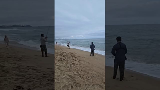 Морская рыбалка на спининг. очень много рыбы, хоть лови руками.