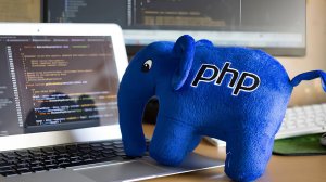 💻 Веб-программирование на PHP и Laravel: от основ к делу (пятая лекция)