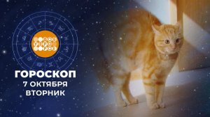 Гороскоп на 7 октября. Доброе утро. Фрагмент выпуска от 07.10.2025
