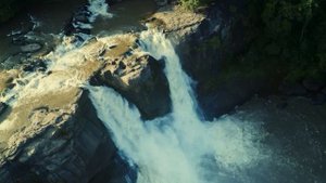 Души прекрассные порывы