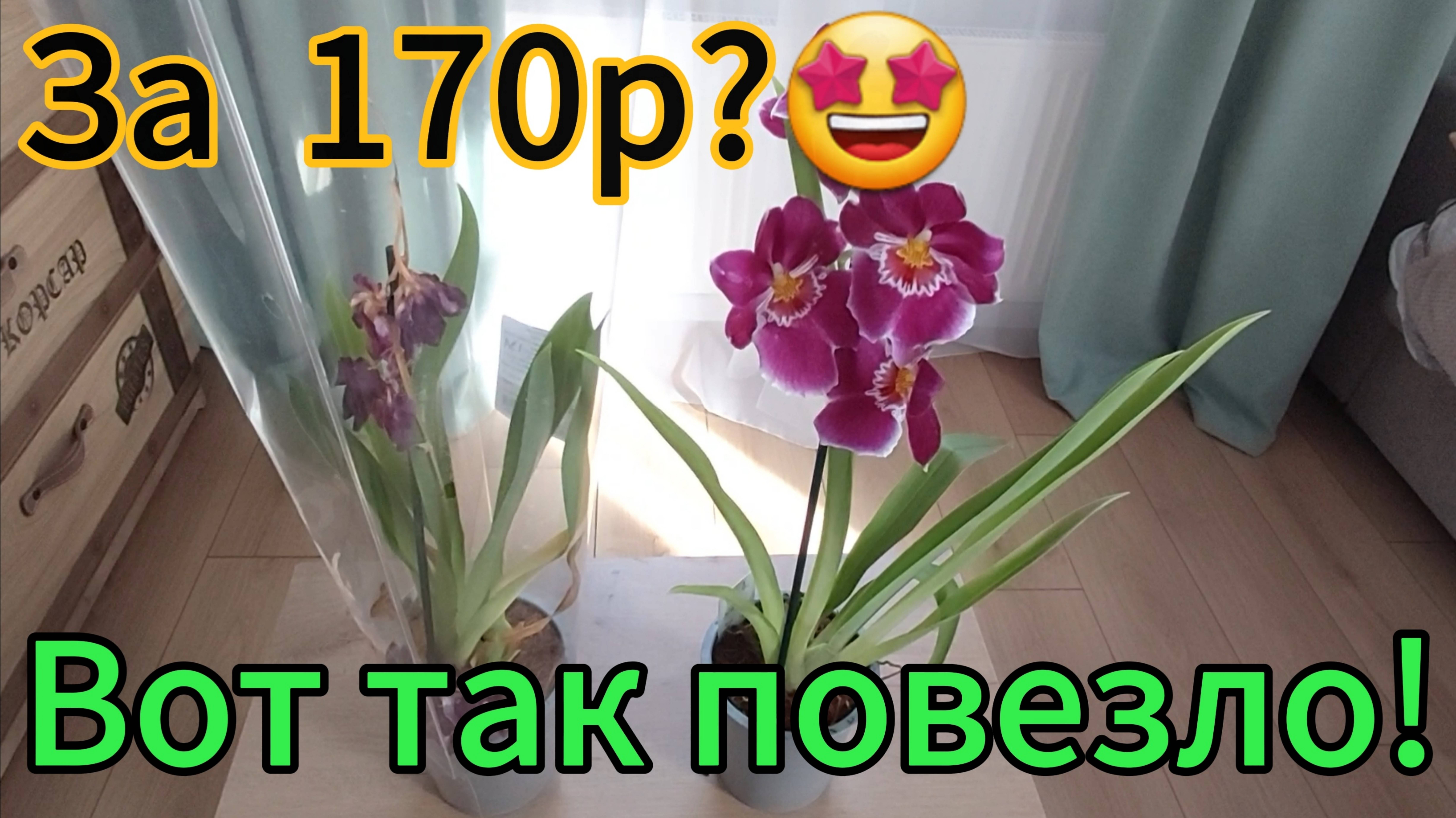 Что было в  ОБИ со скидкой!Прогуляемся по полкам.
