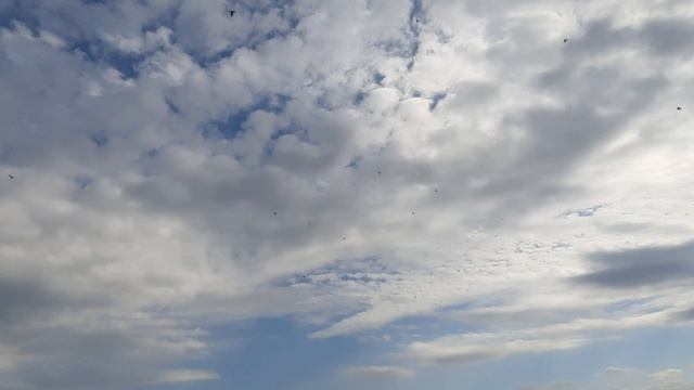 07.10.25 г. Андижанская молодёжь (4)