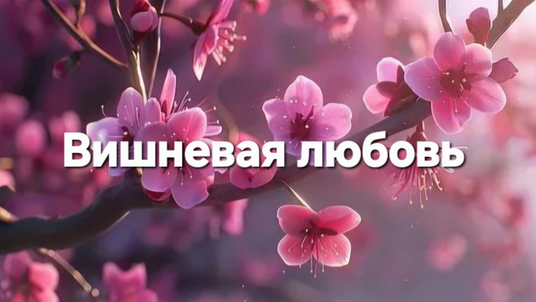 Вишневая любовь смотреть онлайн