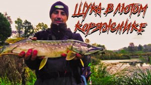 ЩУКА В ЛЮТОМ КОРЯЖНИКЕ. ВОБЛЕРА, ПРИМАНКИ, ПРОВОДКИ. КАК УГОВОРИТЬ ЩУКУ НА ПОКЛЕВКУ.