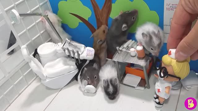 ПЕРЕПОЛОХ в ЗУБНОМ КАБИНЕТЕ** ЗАЧЕМ ОСТАВИЛИ ОДНИХ?**НОВАЯ СЕРИЯ ПРО ХОМЯЧКОВ смотреть онлайн