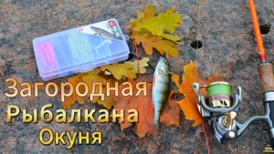 ОСЕННИЕ ПРИМАНКИ НА ОКУНЯ ОКТЯБРЬ РЫБАЛКА ЗА ГОРОДОМ КЛЁВ ОКУНЯ НА ВСЕ ЦВЕТА И РАЗМЕРЫ ПРИМАНОК
