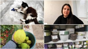 " Вышла из строя"🙃 | Новая игрушка Муси😁 | Айва👌