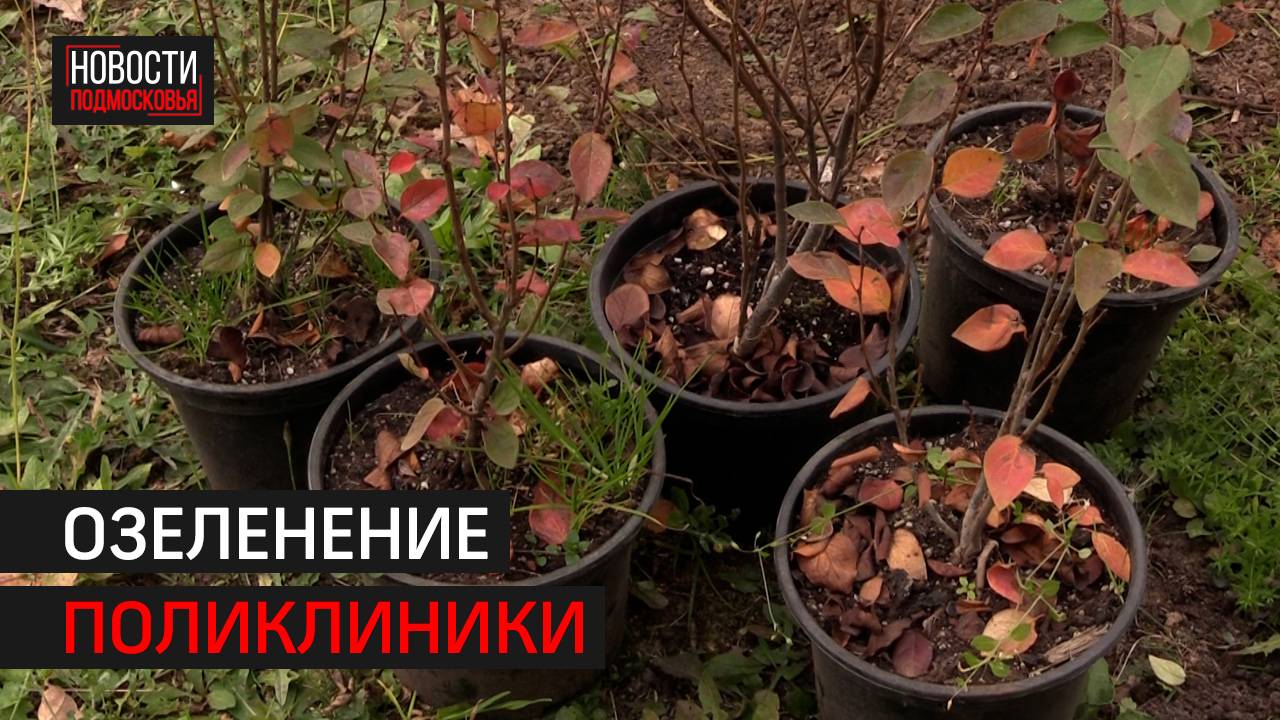 Экологическая акция прошла в Химках // 360 ХИМКИ