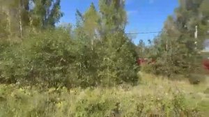 ЗУ :770 д. Соскино