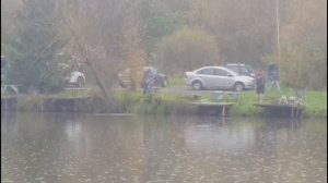 Светлые Горы Форель 07.10.2025г.