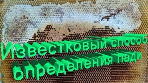 Определение пади в мёде: известковый способ профессора Кашковского в пчеловодстве