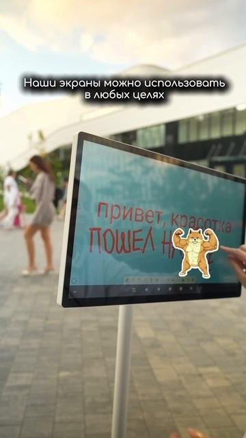 Наши экраны подходят для любых ситуаций