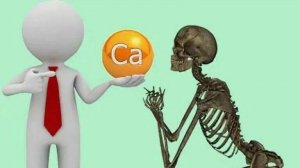 Усвоение кальция, причины не достатка кальция, подкормки кальцием. Ссылка https://t.me/agroidea1984