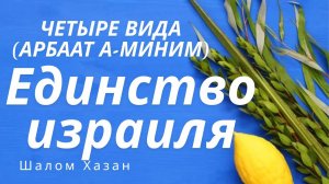 Четыре вида растений и Единство Израиля