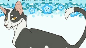 коты племени ветра
