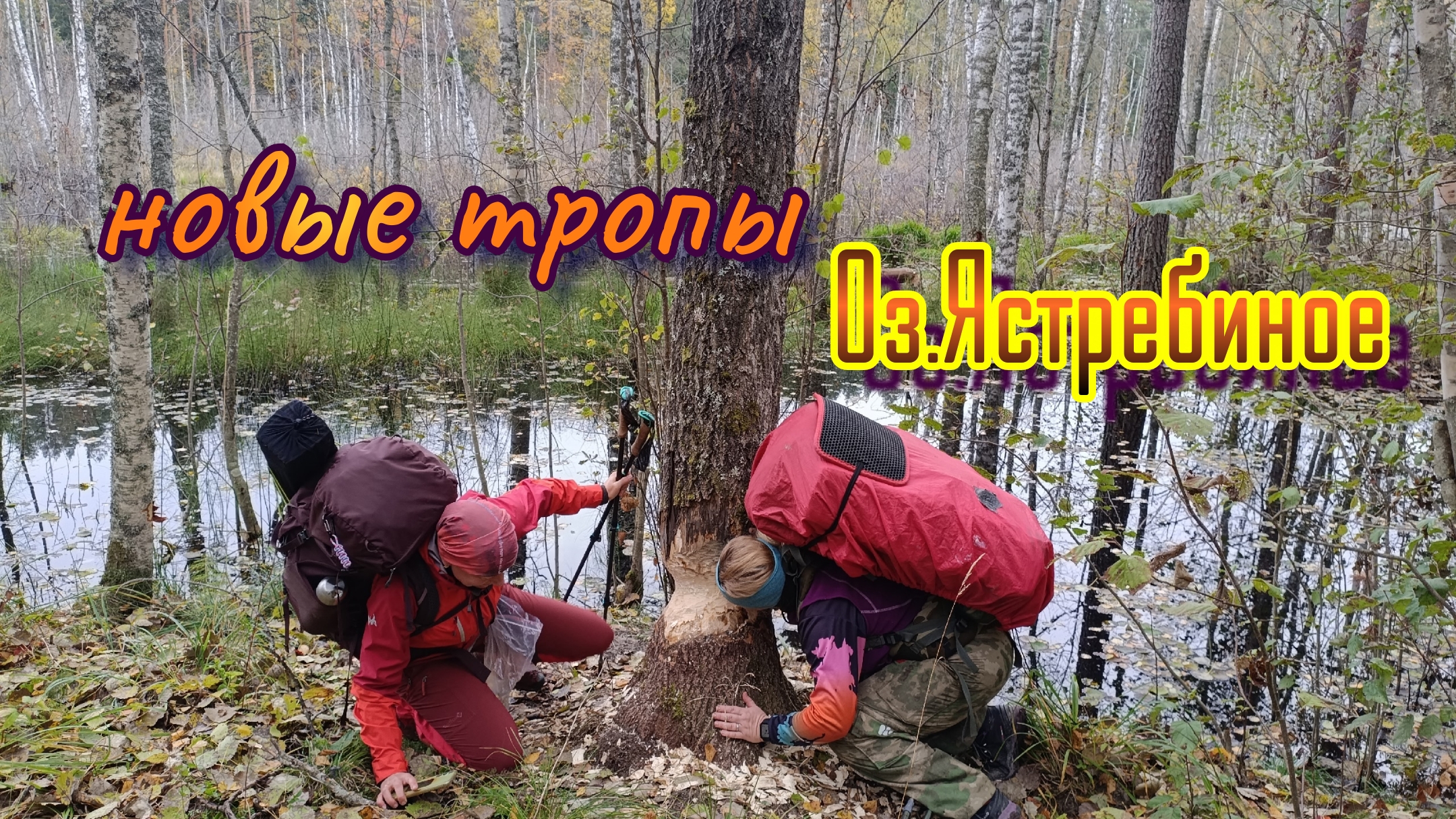 🌀🥾новые тропы к озеру Ястребиное