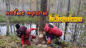 🌀🥾новые тропы к озеру Ястребиное