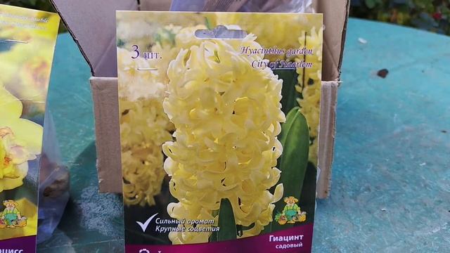 ОБЗОР посылки С ЛУКОВИЧНЫМИ из интернет магазина #тюльпаны #луковичные #крокусы #нарциссы #мускари