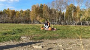 День Толлера (Новошотландский ретривер)