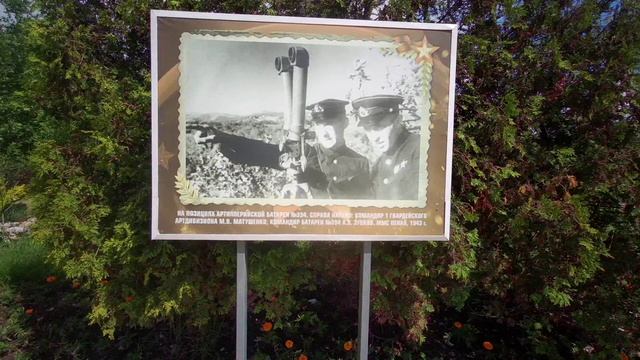 Большое путешествие Путеводитель Геленджик От Андреевского парка до Олампочканного парка