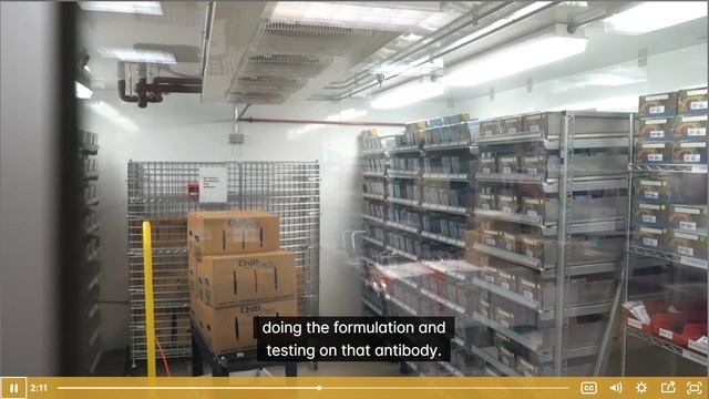 валидация антител 2