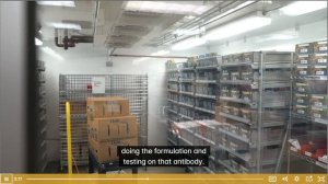 валидация антител 2