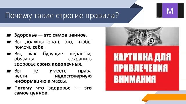 Организация работы