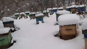 7 октября на пасеке.Погодка спешит...