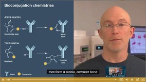 Конюгаты Sell signaling