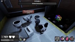 МЫ ВСЕ С МАСТЕРСТВОМ В МИРЕ ДЕНДИ!