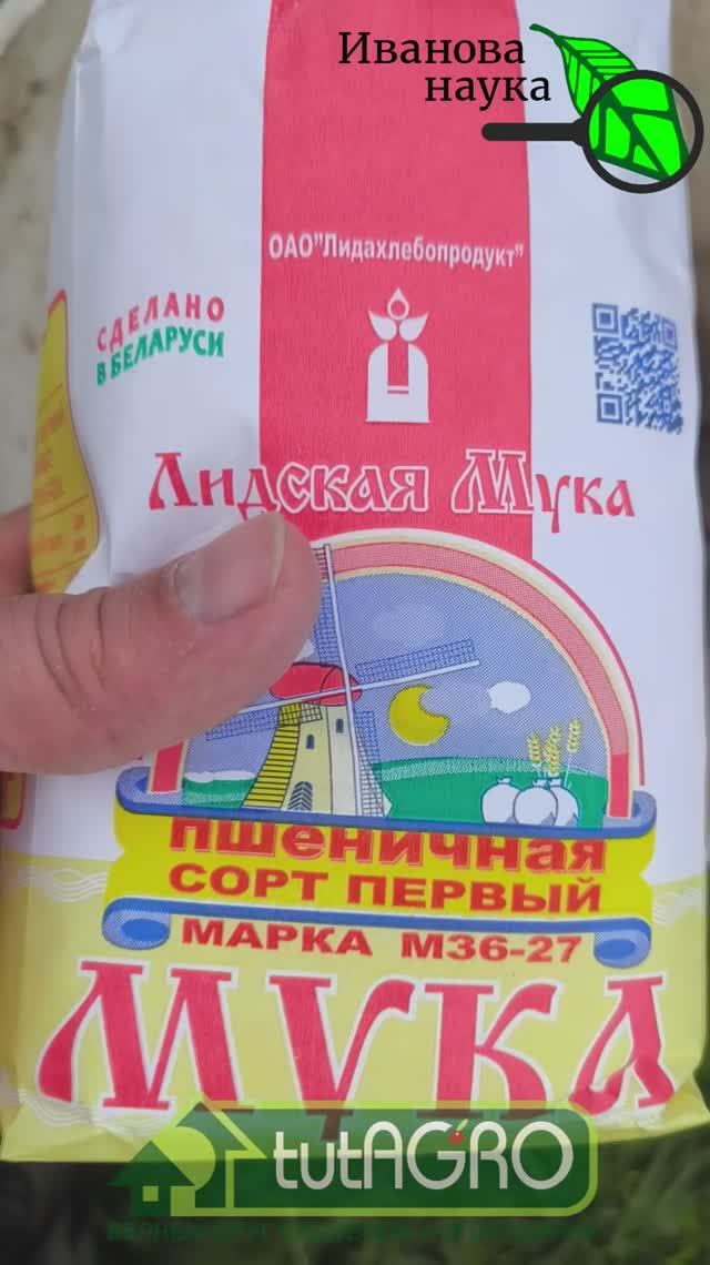 БЕЗ ЭТОГО ЧЕСНОК НЕ САЖАЮ! Лучшая заправка почвы для посадки чеснока. Всего 1 грамм и чеснок лучший!