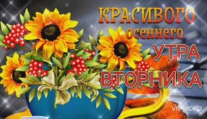 КРАСИВОГО ОСЕННЕГО УТРА....