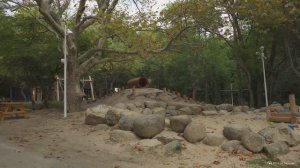 Милютинский парк в Алупке: полностью обновлённое общественное пространство для всей семьи