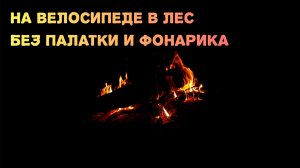 Один в лесу без палатки и фонарика, окружили дикие звери.