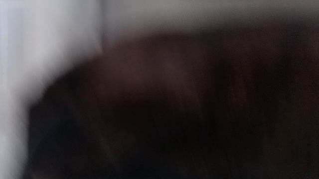 кот