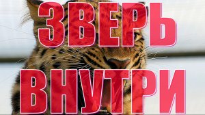 Новости 7 октября 2025 года