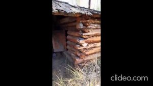 куда пропадают в лесу люди?