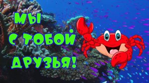 Мы с тобой друзья! Автор стихов Елена Лемехова, музыка Михаила Гребенщикова. Поёт Эвелина Блёданс