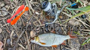 Мормышинг в полнолуние: красноперки,окуни и щука. Только хардкор, ищем рыбу и на что клюёт!#рыбалка