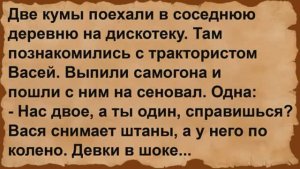 Как две кумы с Васей познакомились. Сборник анекдотов