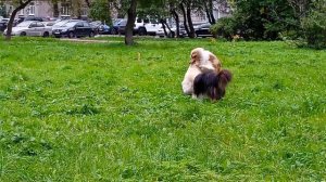 Игры, октябрь 25