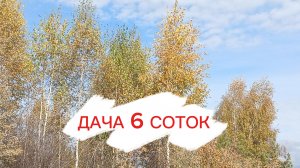 ДАЧА 6 СОТОК//ОБРЕЗАЛИ ЯБЛОНЮ МЕДОВЫЙ РАНЕТ//НА ЗАБРОШЕННОЙ ДАЧЕ ГУСТОЙ ИНЕЙ, ЛЁД В БОЧКЕ