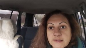 Что с нашими Котятами/ Не учите меня Жить/ Отвечаю на Бестактный вопрос
