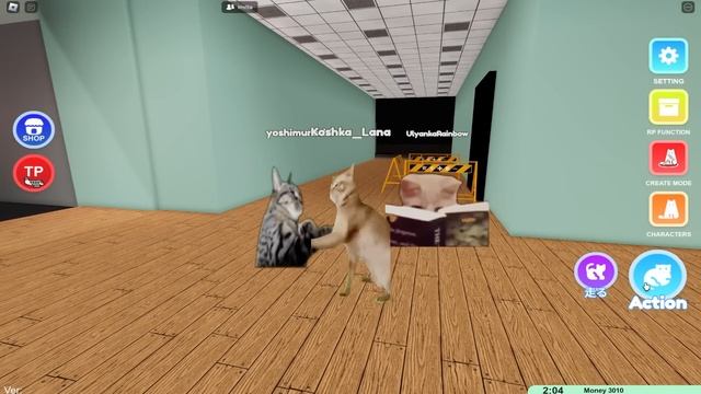 ВЫБИРАЕМ ЛУЧШЕГО МЕМНОГО КИСИКА! Roblox Cat Meme RP смотреть онлайн