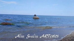 ArtAlena Alia Svalia 08'2025 Куликово пляж баклан