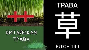 КИТАЙСКАЯ ТРАВА. КЛЮЧ 140 艹 艸 草 cǎo ТРАВА. МНЕМОНИКА КИТАЙСКИЙ ЯЗЫК