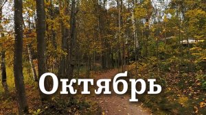 Октябрь. Природа Карельского перешейка