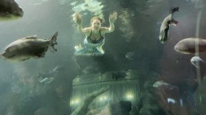 Дыхание - Наутилус Помпилиус