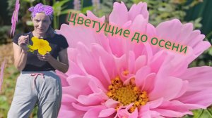 Неприхотливые Растения до Осени _ Многолетние цветы _ Однолетники из семян